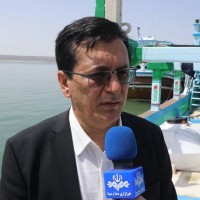 cfzo